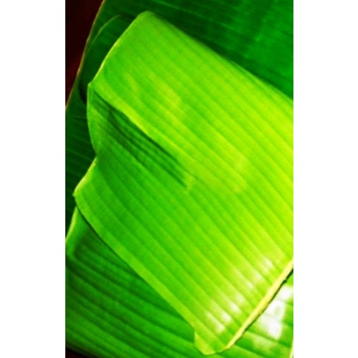 

Daun Pisang Segar 500 gram / Fresh Quality/ Organik