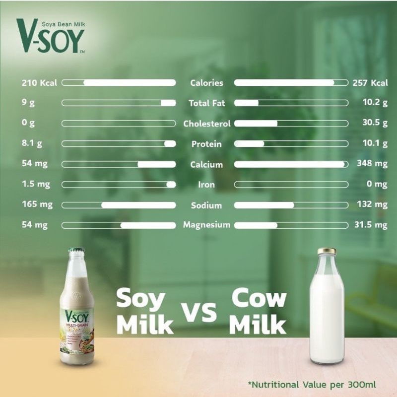 V-Soy Vsoy V Soy Susu Kedelai Soy Milk Coklat Chocolate Cocoa Multi Grain Bottle Botol 300ml