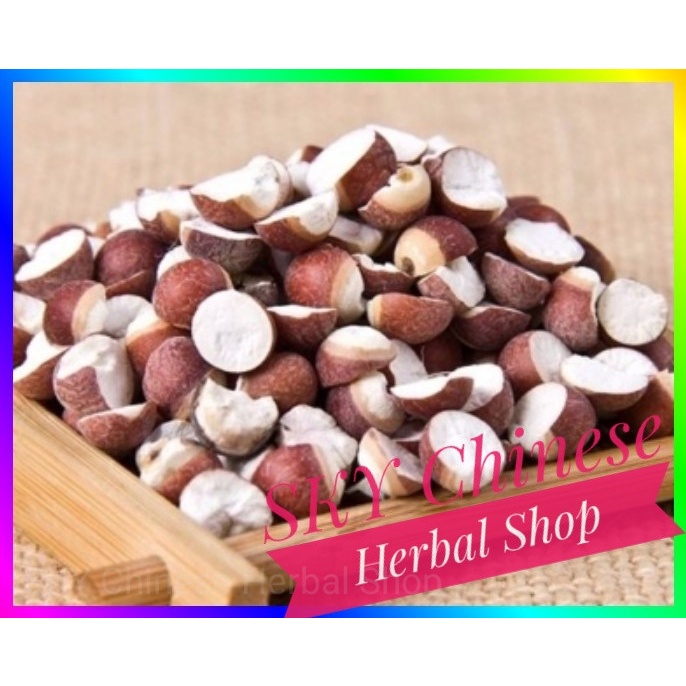 

(600 GRAM) Qian Shi Premium / Euryale Seed (Obat Pencernaan) / Fox Nut