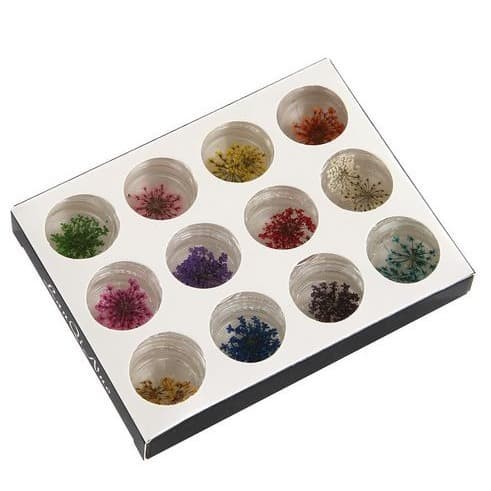 12 Color Natural Dried Flowers - Bunga Kering 12 Warna (12pcs/box)