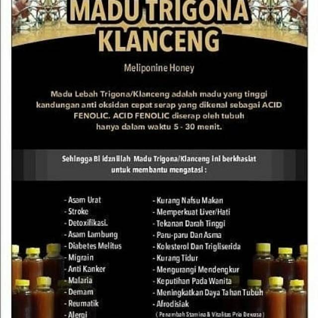 Madu Klanceng Madu Murni Madu Asli Madu Dari Peternak Madu Trigona Madu Hitam Madu Klaceng Itama Indonesia