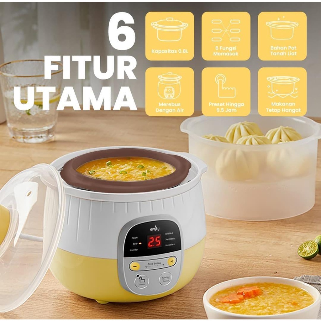 Emily slow  cooker +  stearmer