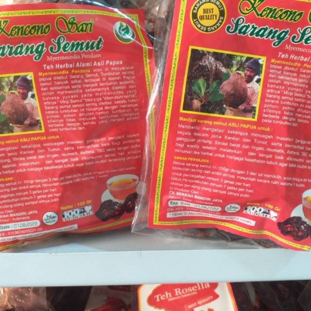 

Sarang semut rebus kencono sari