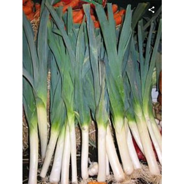 

BAWANG PREI FRESH PER 250 gram
