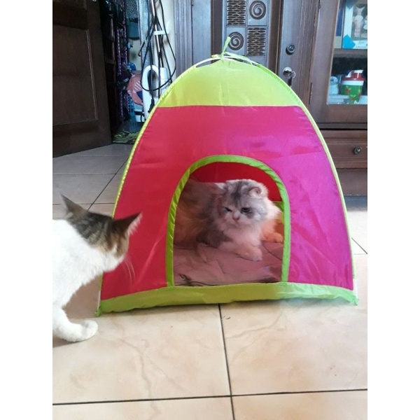 Tenda Untuk Kucing dan Anjing 50x50cm