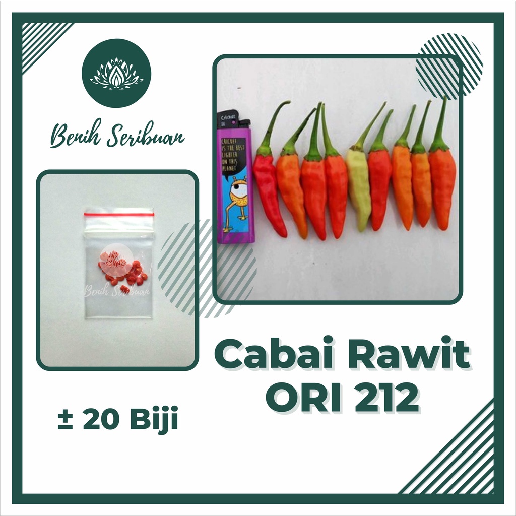 BS-BYL Bibit Sayuran Benih Sayur Buah Hibrida Unggul Buncis Cabe Rawit Bawang Jagung Kacang Lobak Pare Oyong Timun Terong Tomat Wortel dll-CABE RAWIT ORI 212