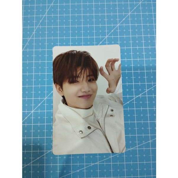 GANTUNGAN BONEKA KOALA PUTIH