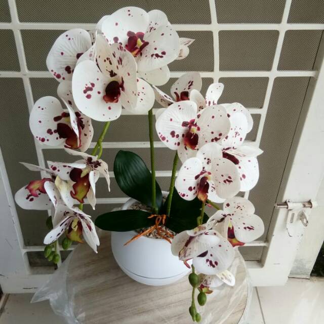 Set Anggrek latex delmation/anggrek latex putih/anggrek latex/anggrek karet/anggrek murah/anggrek hi