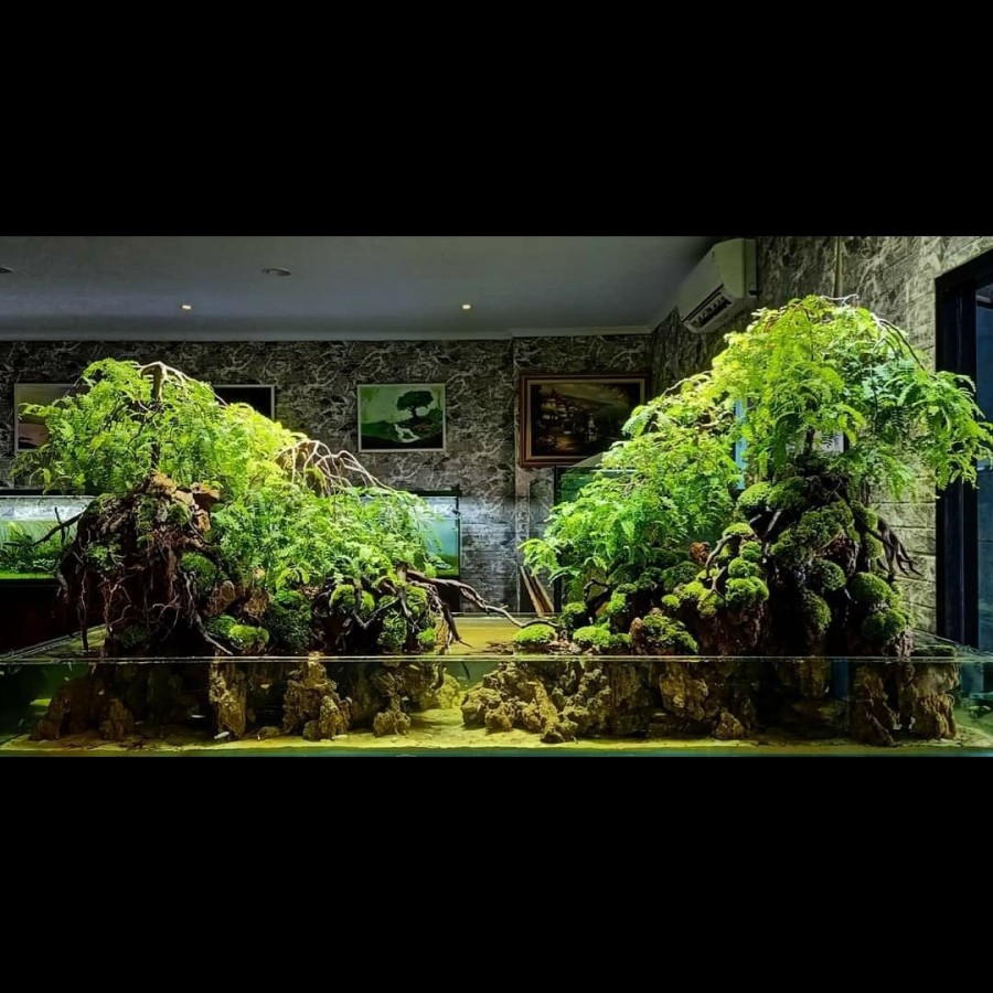 Nickz Paludarium Bonsai Fullset