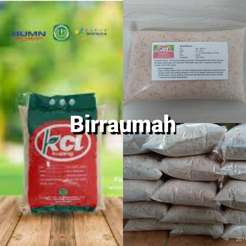 Pupuk Kalium atau KCl Kujang Non Subsidi Shopee Indonesia Pupuk Kalium atau KCl Kujang Non Subsidi Shopee Indonesia