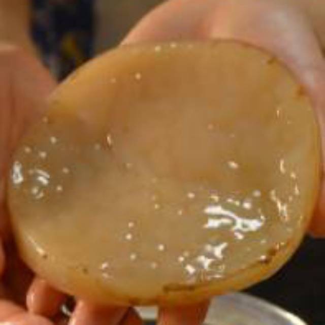 

Promo di Bulan ini Bibit Scoby Jamur Kombucha