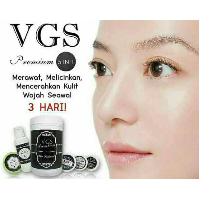 PROMO VGS PREMIUM 5IN1 CREAM WAJAH HERBAL