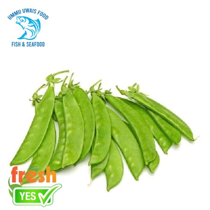 

Sayur Kacang Kapri Segar Berkualitas - 250 Gram