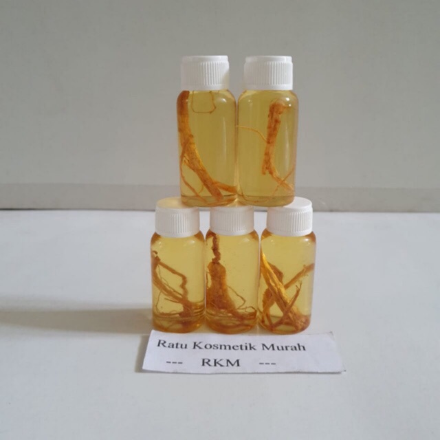 [KECIL] MINYAK BULUS PAPUA GINSENG ORIGINAL 10ml