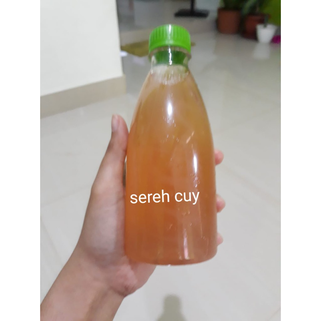 

Minuman Sereh Coy Visar