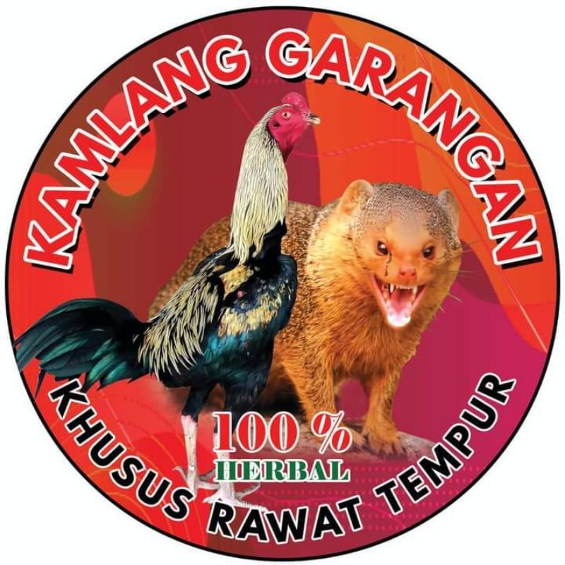 Kamlang atau kamplang garangan jamu ayam jamu ayam aduan doping ayam bangkok