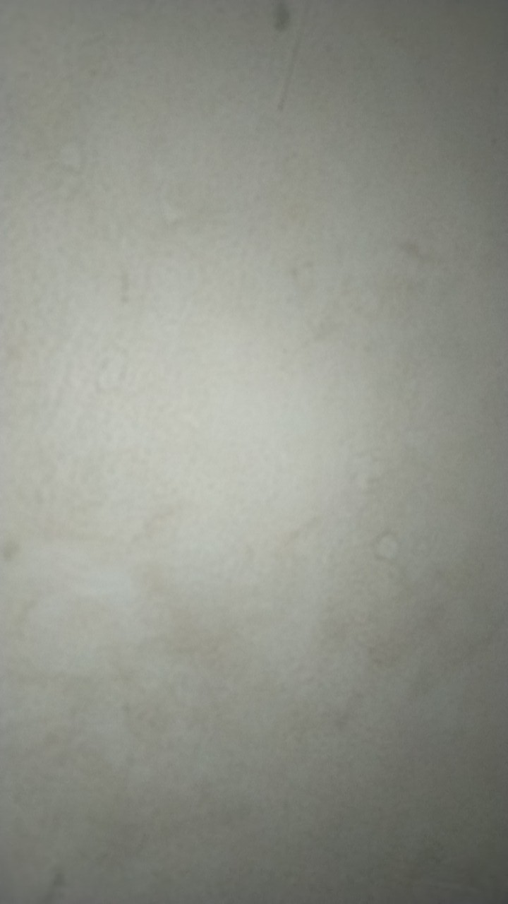 Seragam Batik Sekolah Sd Pendek Dan Panjang