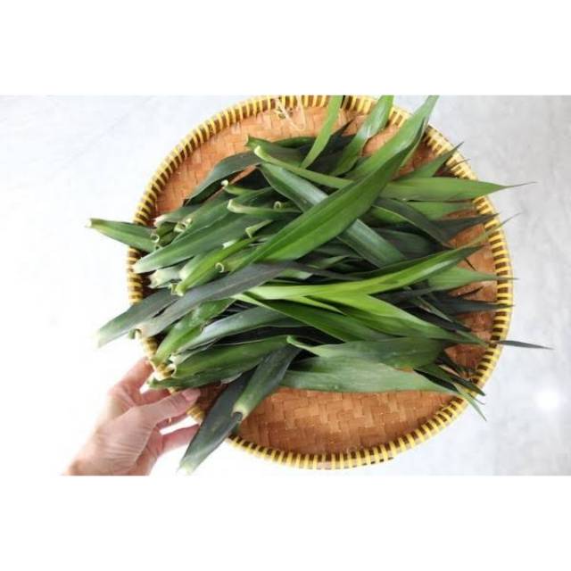 

Daun Suji
