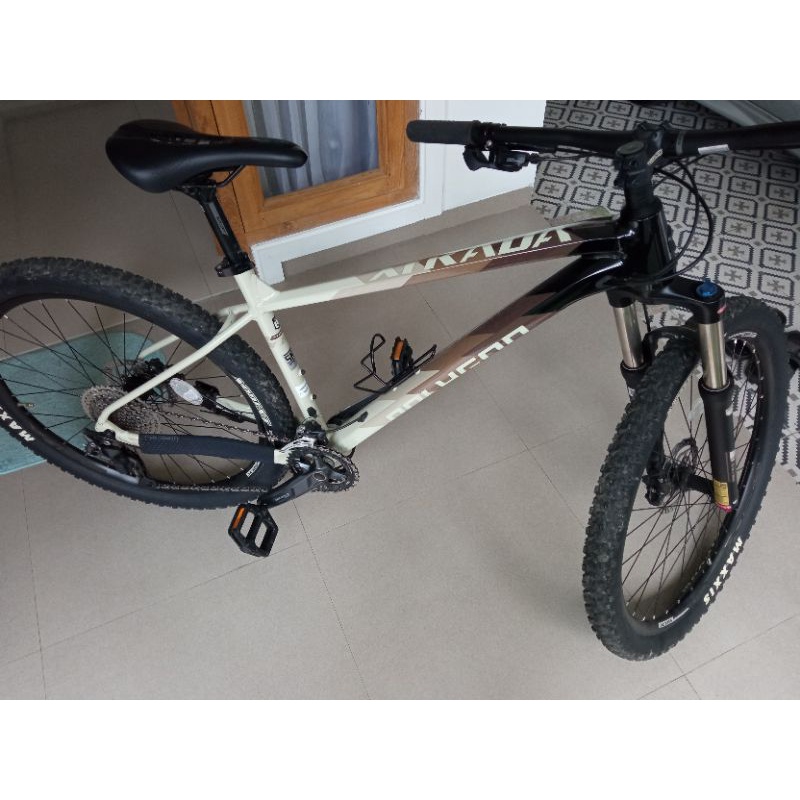 Sepeda Polygon Xtrada 6 2021