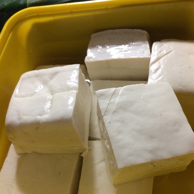

Tahu putih