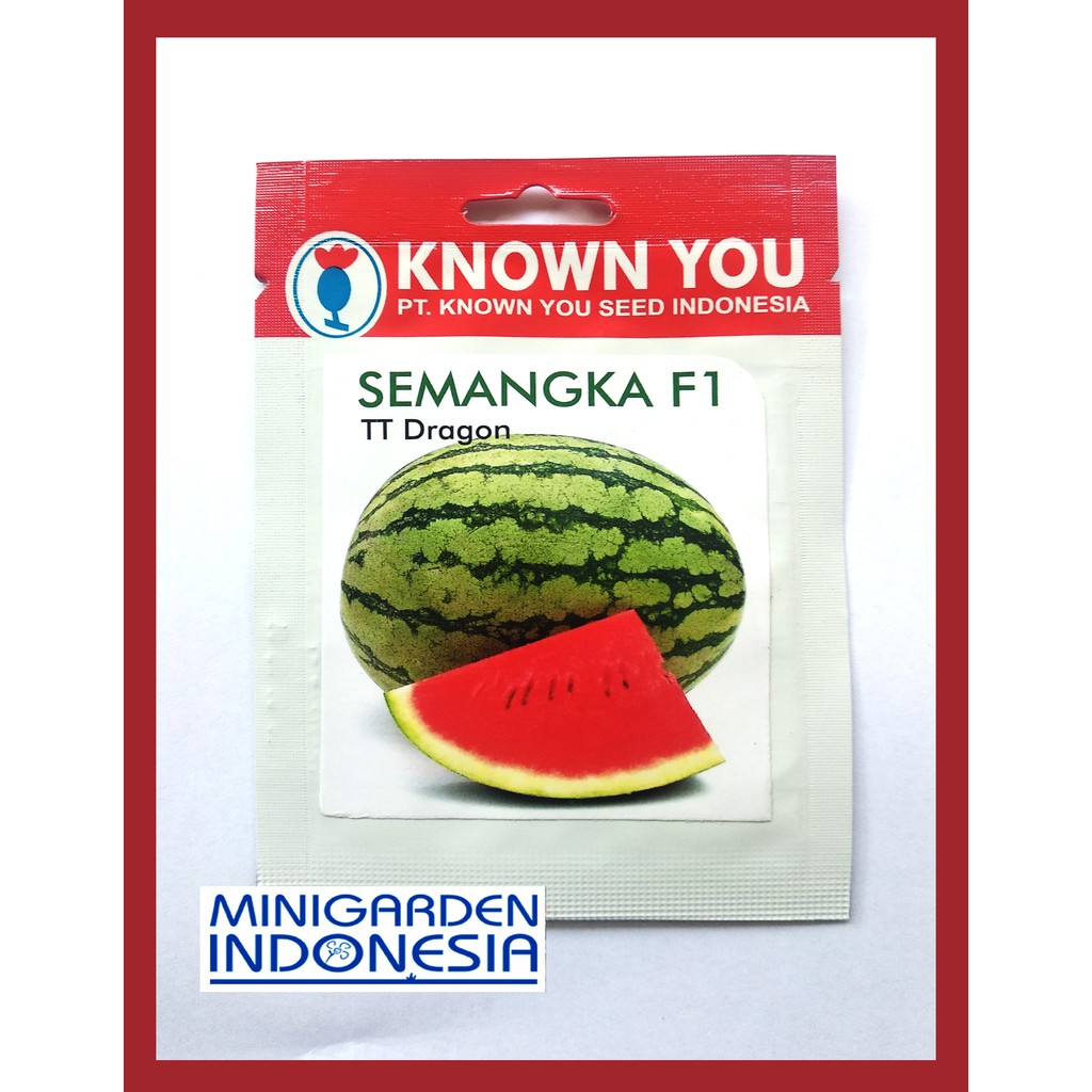 SEMANGKA TT DRAGON 10 BIJI PACK KECIL Benih Semangka merah non biji seedless F1 KNOWN YOU SEED Bibit Tanaman Buah