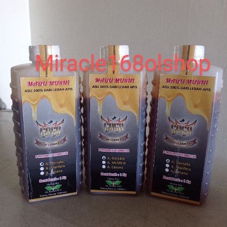 

Madu Murni RAW Honey GAGA Lebah Apis Dorsata