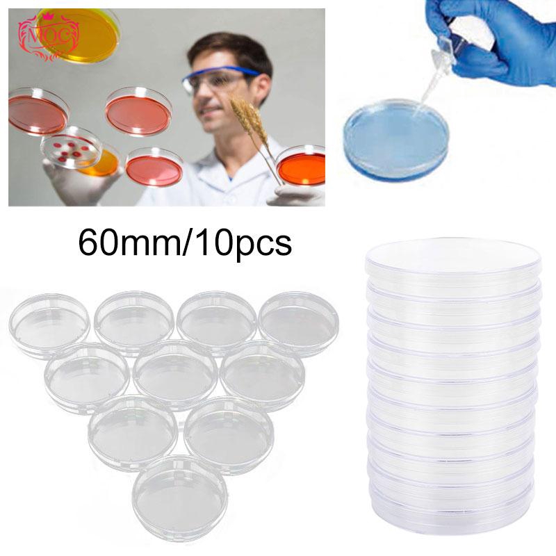 M0c 60mm 70mm 90mm Disposable Petri Dishes Multifunctional Sterile Petri Dishes Shopee Indonesia