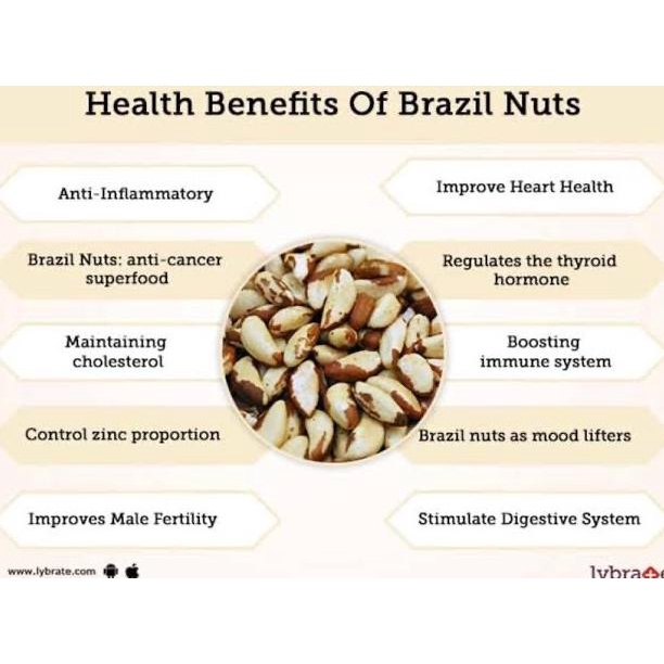 

Brazilian Nuts Import