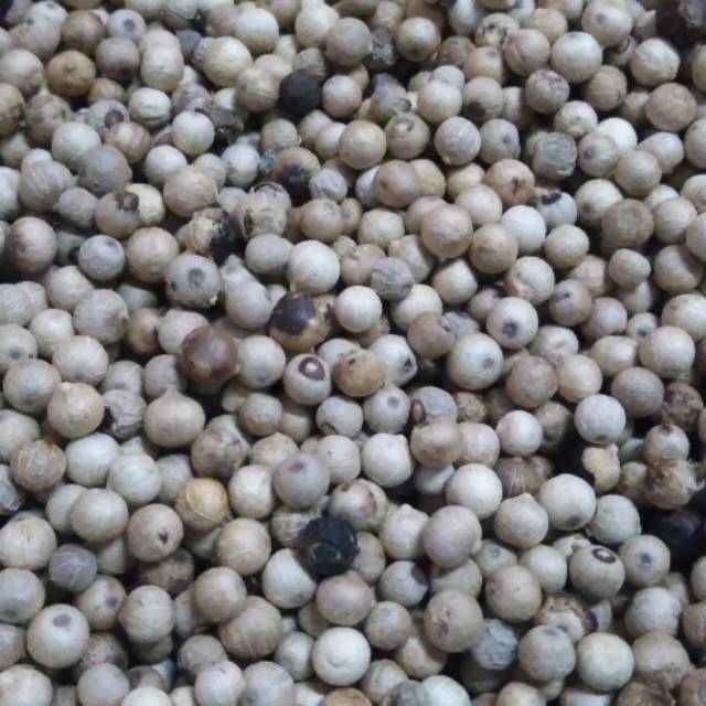 

LADA BULAT 500gr
