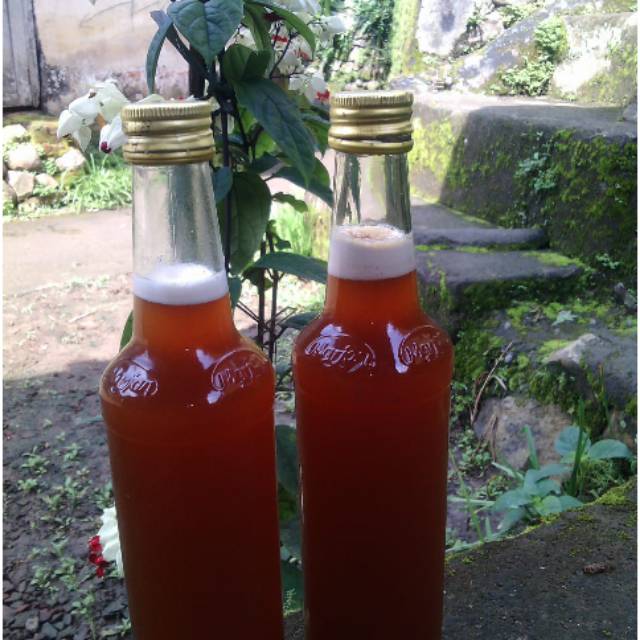 

Madu tawon gung asli bukit menoreh