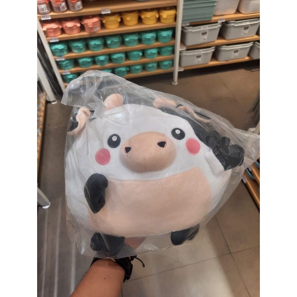 boneka miniso bulat binatang sapi