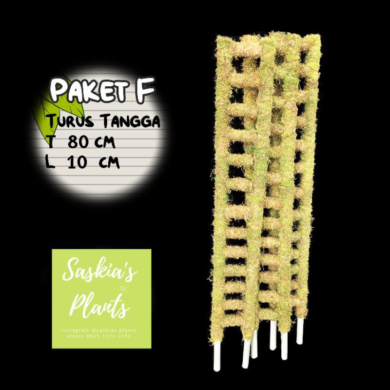 (Paket F) 3 pcs Turus Lumut Tangga 80 cm