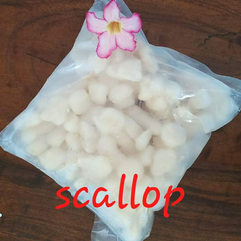 

Scallop