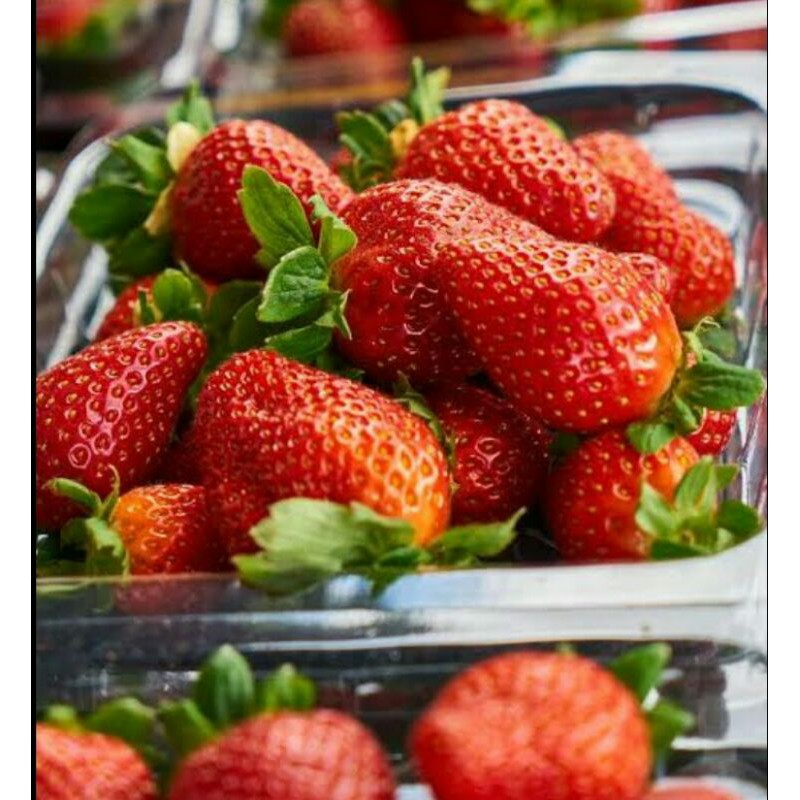 

Strawberry fresh/150gr