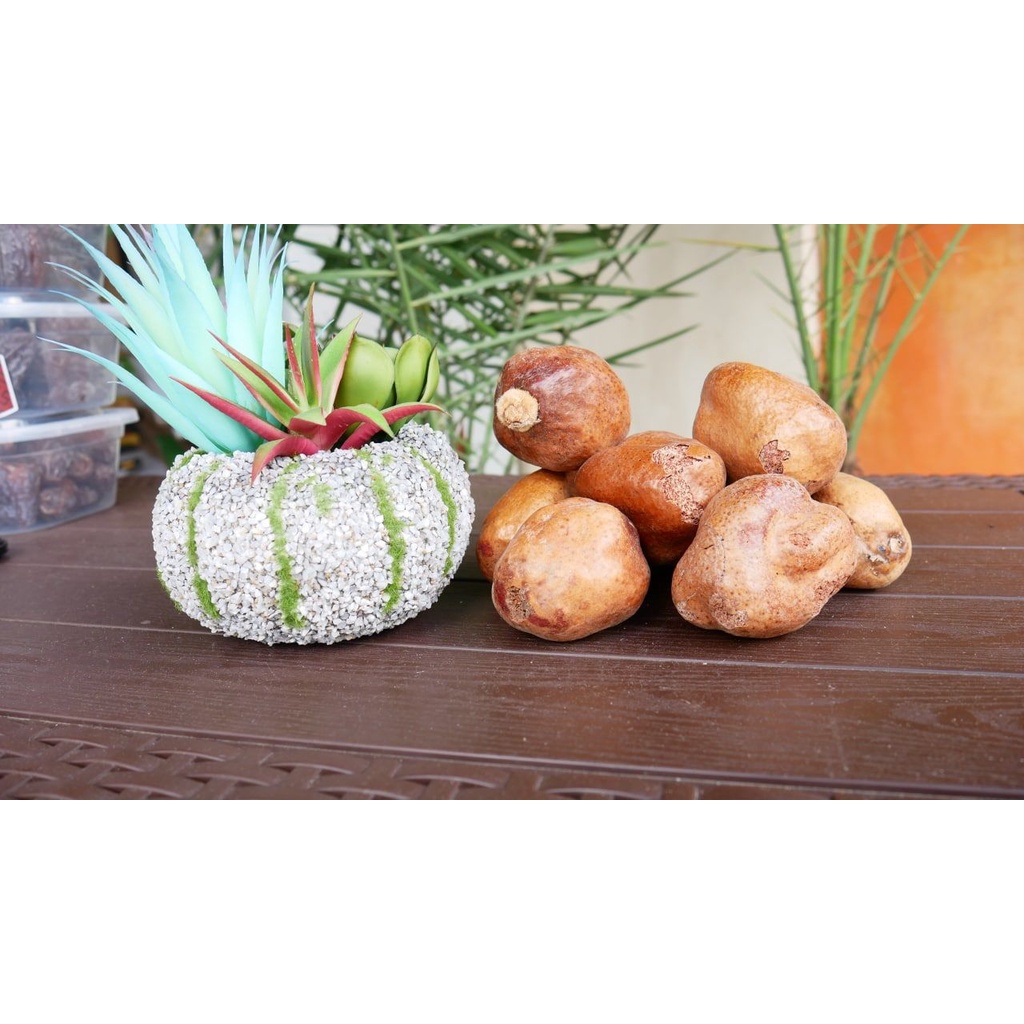 

Buah zuriat 250 g