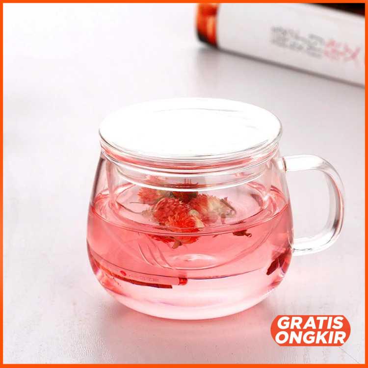 Gelas Cangkir Teh Tea Cup Mug 300ml with Infuser Filter - C224