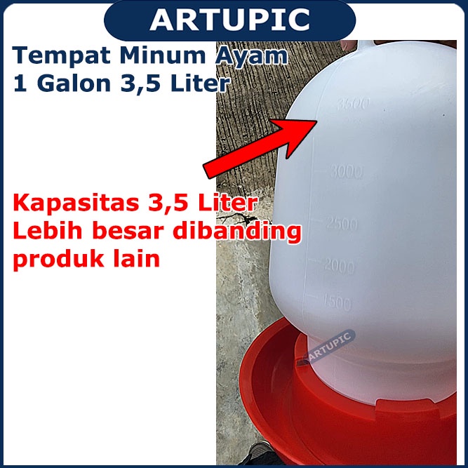 Tempat Minum Ayam 1 Galon 3 Liter sampai 3.5 Liter Manual