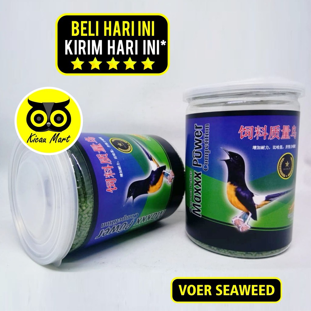 PAKAN MAXXX POWER COMPETITION HIJAU VOER PUR SEAWEED RUMPUT LAUT MAKANAN BURUNG MURAI KACER MAXSWH