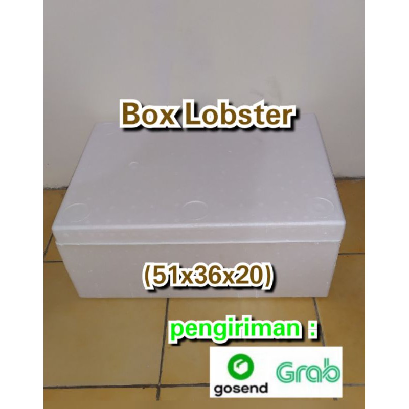 

box styrofoam / box cupang / box ikan / lobster box 51x36x20
