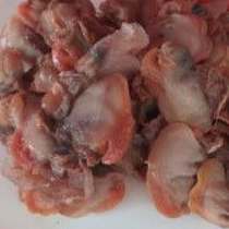 

Daging Kerang Dara 250 gram - Central Seafood