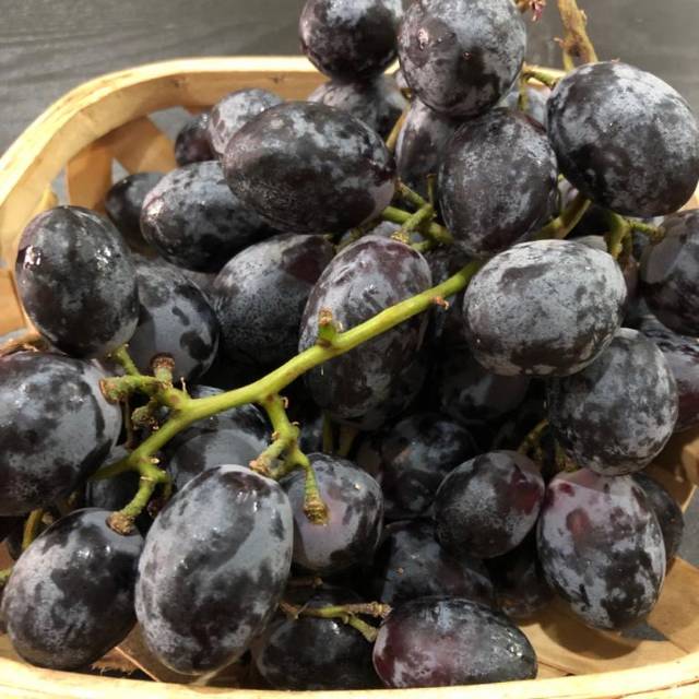

Buah Anggur Non Biji Black Autumn