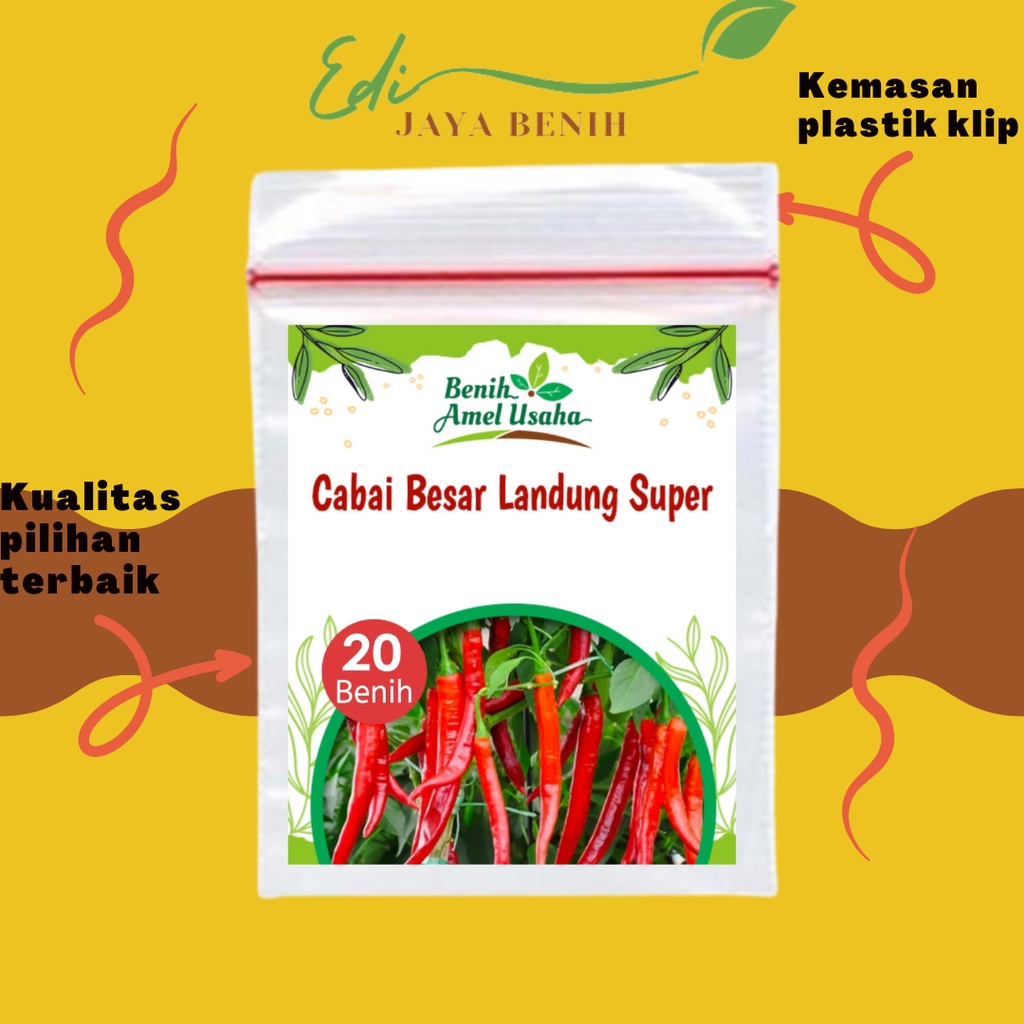 benih cabai merah besar landung isi 20 benih / benih sayuran / benih cabai