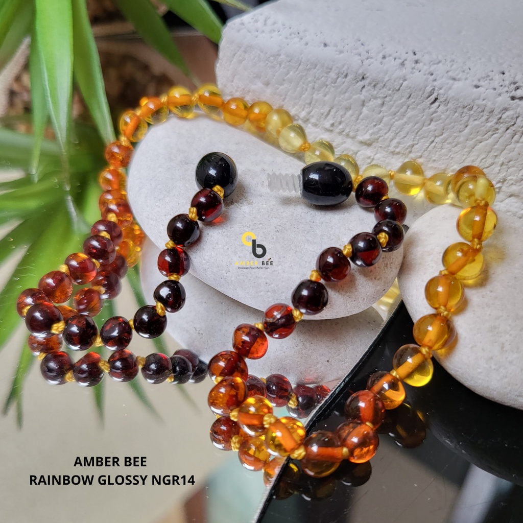 Kalung Amber Anak Premium Glossy Rainbow NGR14 By Amber Bee