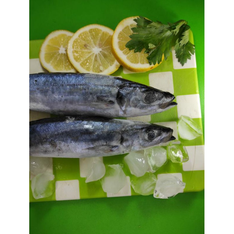 

ikan layang