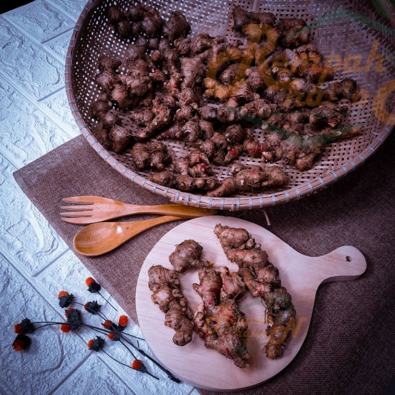 

JAHE MERAH SEGAR - BERSIH - USIA PANEN SESUAI - KUALITAS TERBAIK