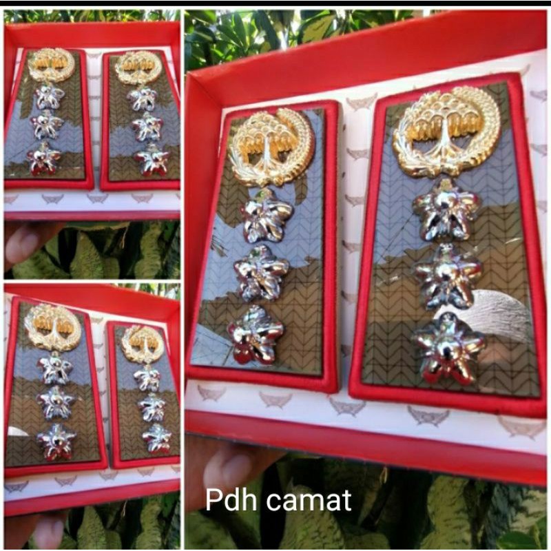 pangkat pdh camat pangkat camat Tanjab camat tanda jabatan camat