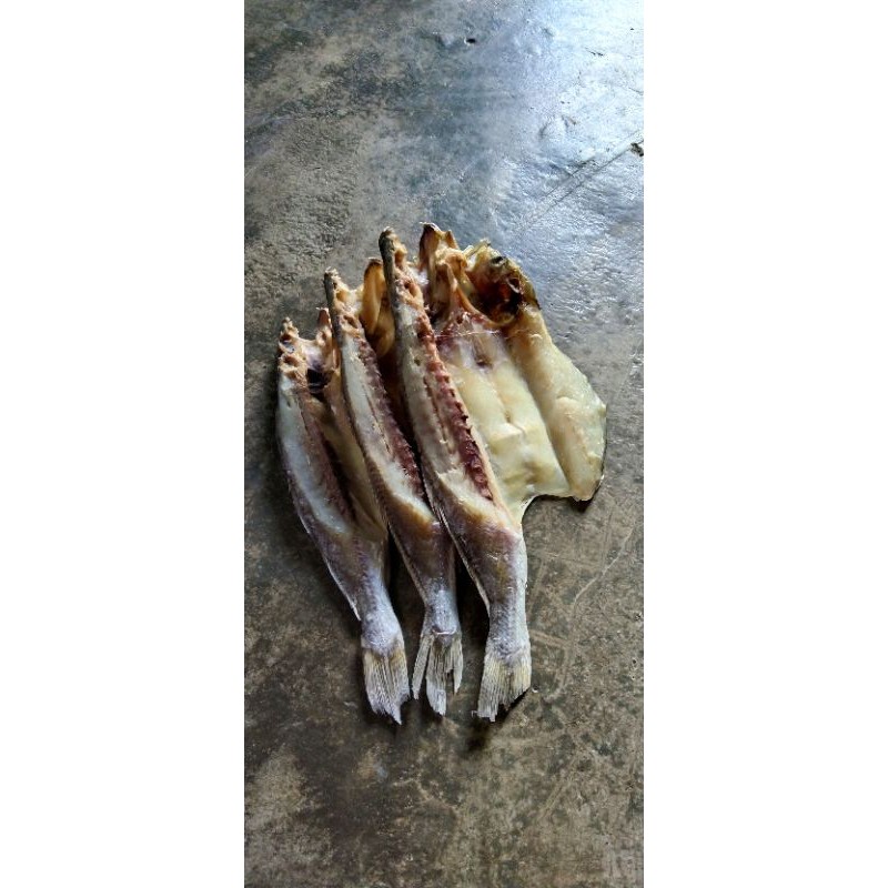 

Ikan Asin Kepala Batu / Samge / Gulamo Belah 1kg
