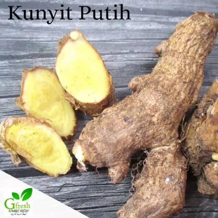 

AMPUH KUNYIT PUTIH SEGAR (500 GRAM) !!!!