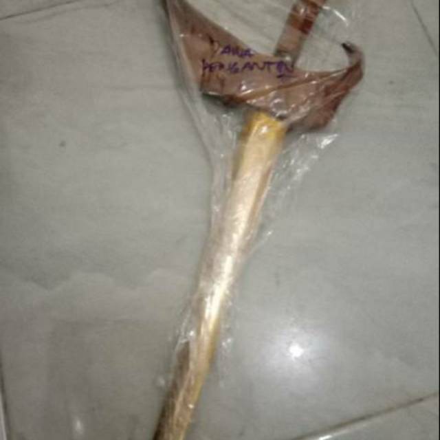 Keris Jawa Aksesoris Pengantin dan Baju Adat