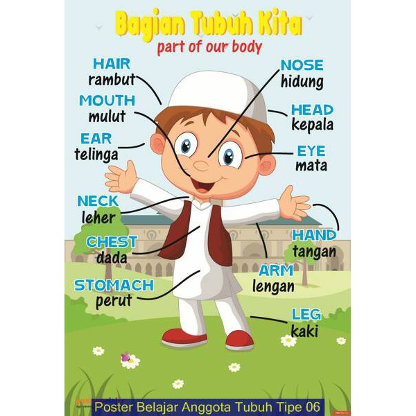 Poster Belajar Anggota Tubuh Kegiatan 2 Shopee Indonesia